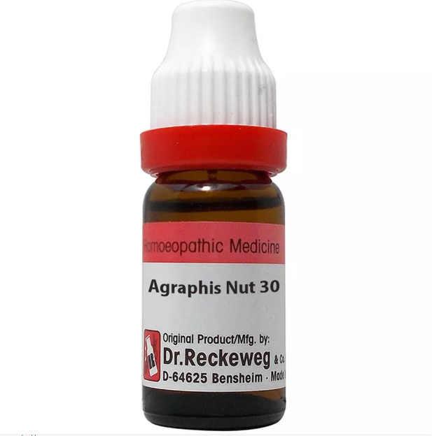 Agraphis Nutans