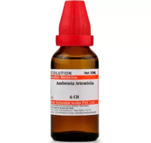 Ambrosia Artemisia