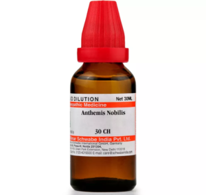 ANTHEMIS NOBILIS