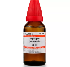 Ampelopsis Quinquefolia