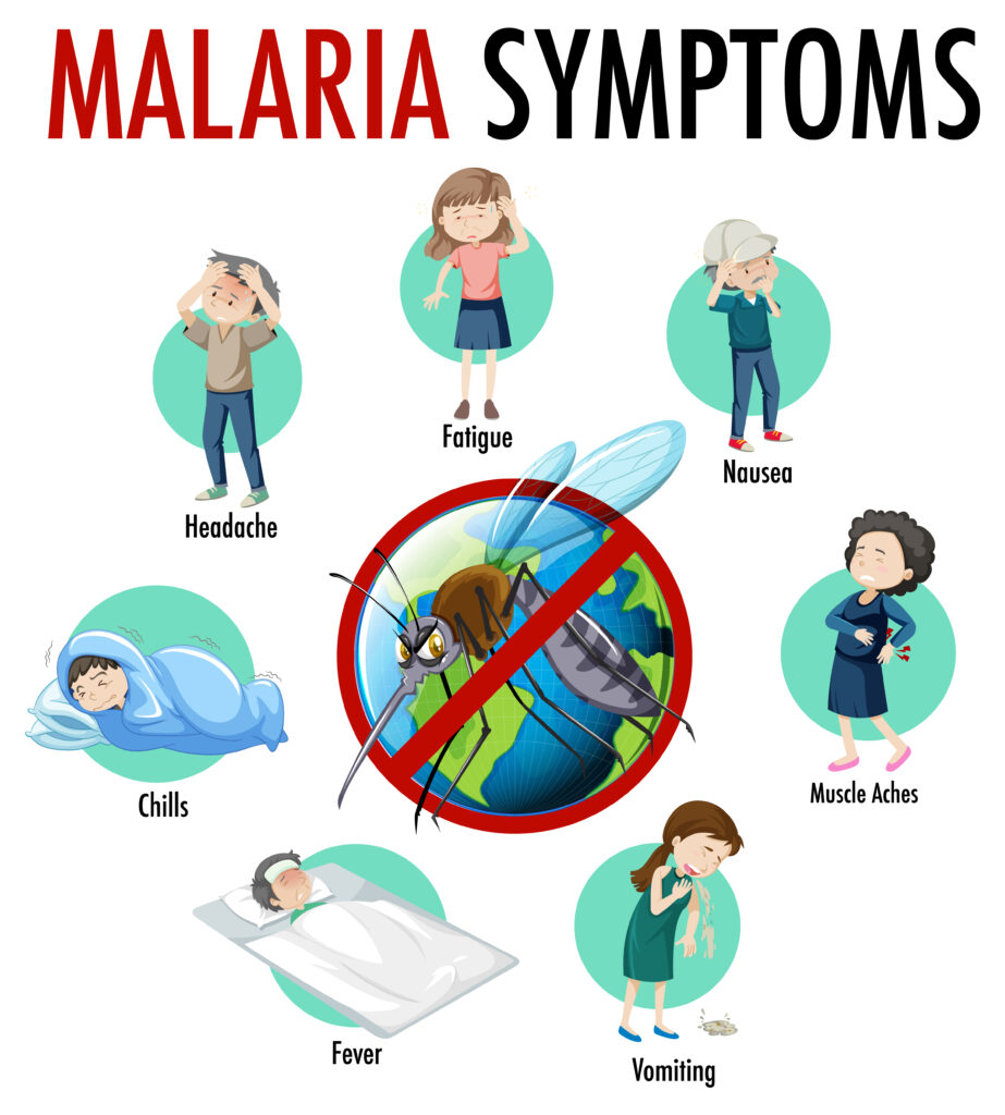 Homeopathic Medicine For Malaria