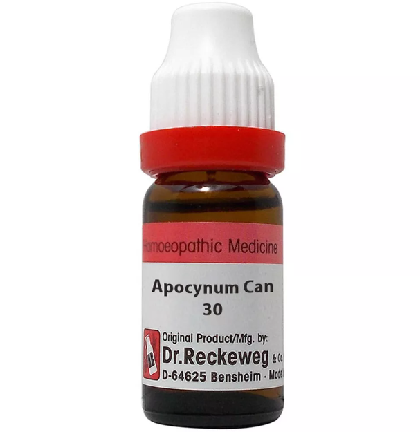 Apocynum Cannabinum