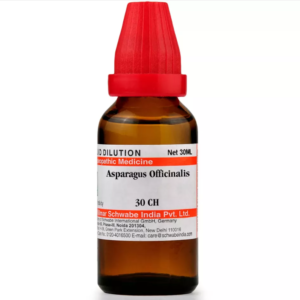 ASPARAGUS OFFICINALIS