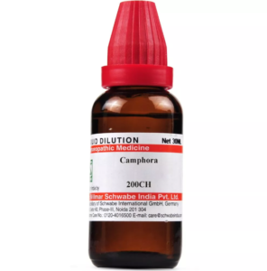 CAMPHORA OFFICINALIS