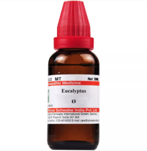 EUCALYPTUS GLOBULUS