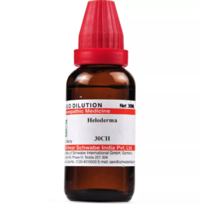 Heloderma