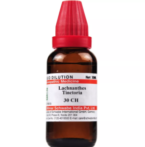 LACHNANTES TINCTORIA