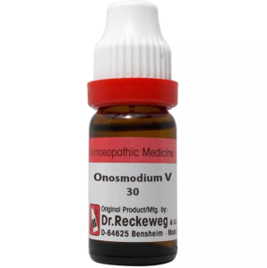 ONOSMODIUM VIRGINIANUM