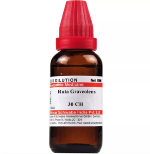 RUTA GRAVEOLENS