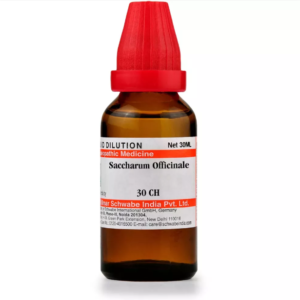 SACCHARUM OFFICINALE