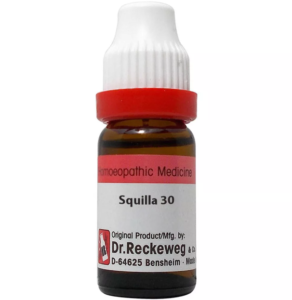SQUILLA MARITIMA