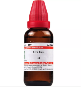 UVA URSI