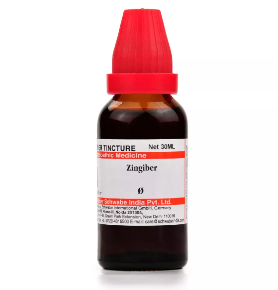 ZINGIBER OFFICINALE